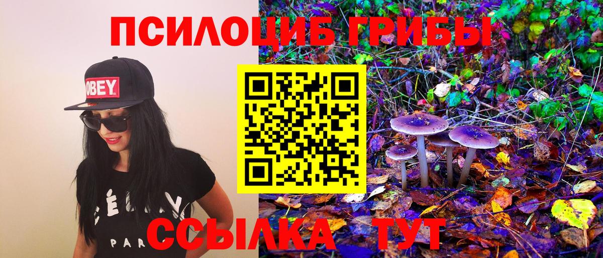 Галлюциногенные грибы мухоморы Тула